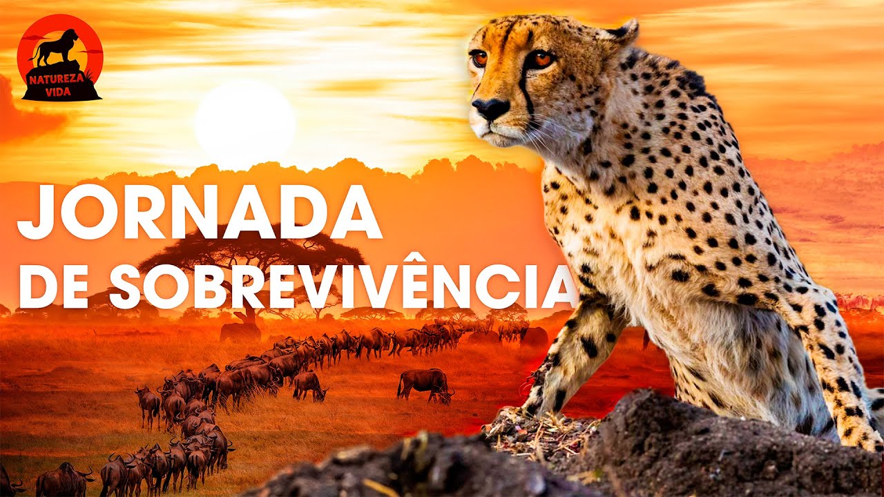 SAVANA AFRICANA | Jornada de conquista e sobrevivência | Documentários animais