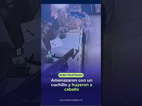 DOS LADRONES, UN KIOSCO Y UNA HUIDA INSÓLITA