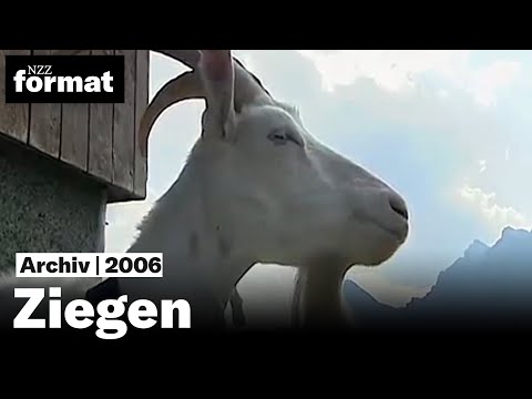 , title : 'Meckerer, die man liebt: Ziegen - Dokumentation von NZZ Format (2006)'