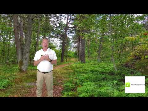 Årsta torg, Årstafrun och Årstaberg