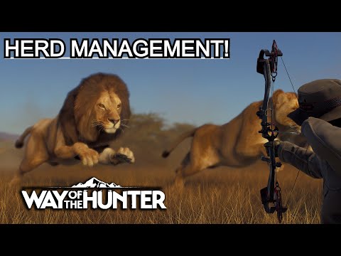 Getting our herd management game on! | Tikamoon Plains, Way of the hunter