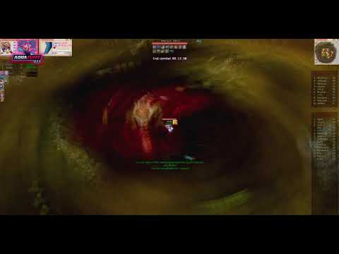 Entity - Aqua FlyFF (GS Server)