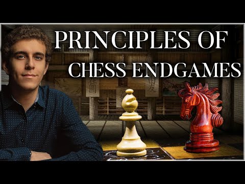 Knight Vs Bishop Endgame | Principles of Chess Endgames | GM Naroditsky