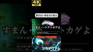 罪のない命を刈り取ってしまった #ソラテリア#solateria #ソウルライク #4k #hdr #4khdr #ゲーム実況 #ツバ