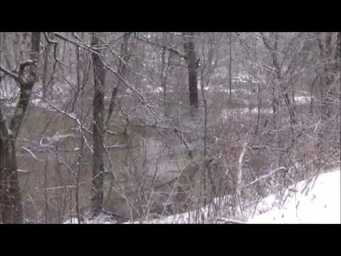 Snow Showers in Butler PA