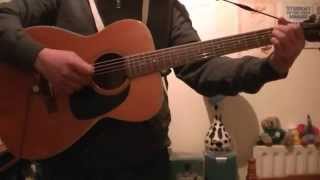 Christy Moore & Sinead O'Connor: "The Mad Lady And Me" 1989 (acoustic guitar cover)
