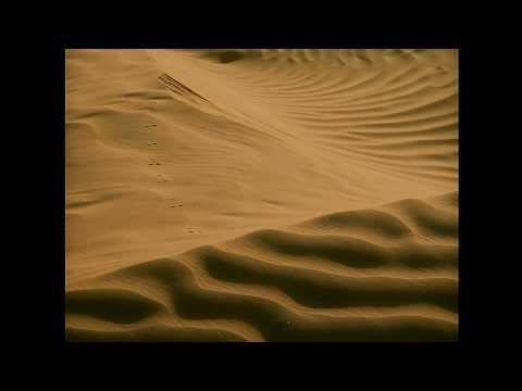 Vieni Dal Libano - Enzo donnarumma