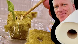 The Best Way to Start Hydroponic Pumpkins