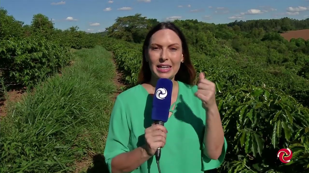 Cafeicultura regenerativa ganha mais espaço entre produtores