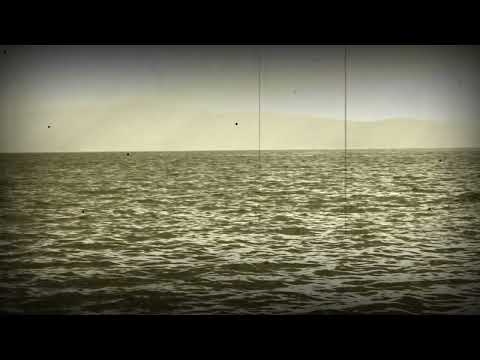 Miodrag Mile Bogdanović i Dušan Nikolić, NO Žarka Milanovića, A što mi se pamet pomeravlja