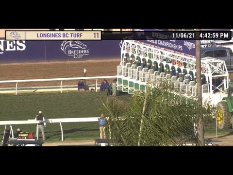 Turf 2021 | Yibir | Breeders' Cup