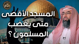 صورة نبيل العوضي | لماذا اختار اليهود فلسطين تحديدا؟ | متي يغضب المسلمون؟ | تحرير فلسطين