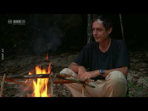 Tief im Regenwald: Auf der Spur der Harpyie - Doku - Deutsch