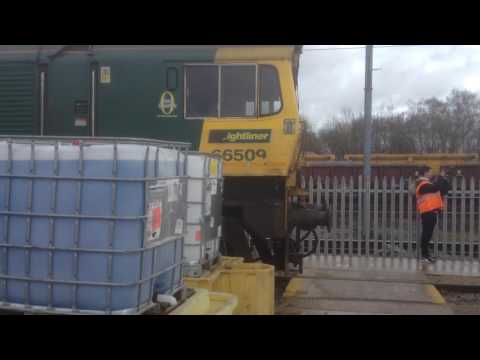 Freightliner No 66509 66603 & 66559