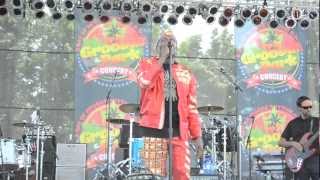 Jimmy Cliff Perform Live At "Grooving In The Park" In Queens NY