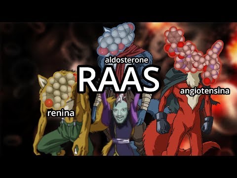 Sistema Renina Angiotensina Aldosterone - Spiegazione