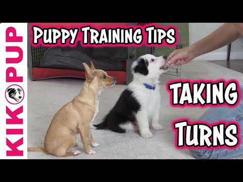 STOP UNWANTED behaviors with BACK UP