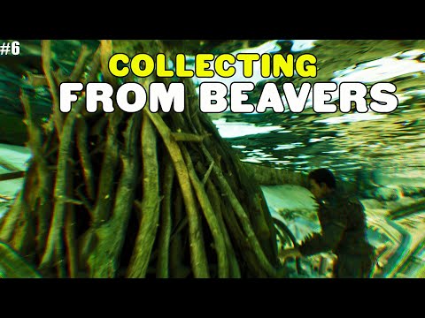 Raiding Beaver Dams for Precious Materials in Ark: Survival Ascended | Extinction Map - Part 6