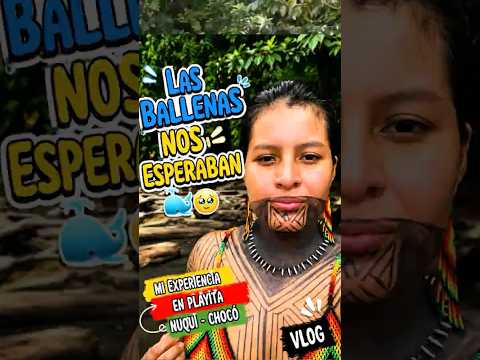 🐳 Las ballenas nos estaban esperando… | Mi experiencia en Playita Nuquí, Chocó 🥹🌴