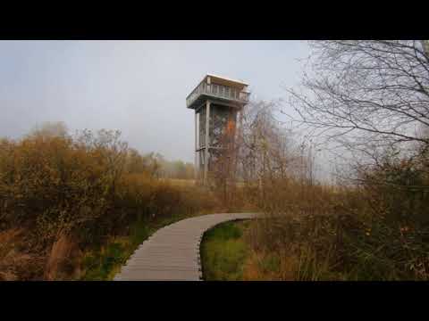 Mystische Rhön – Wandern am Schwarzen Moor