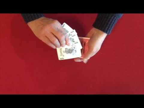 Bizarre Assembly by Fooler Doolers