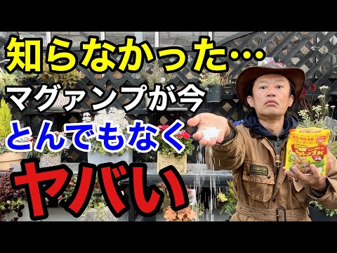 ペリクレースについて詳しく解説