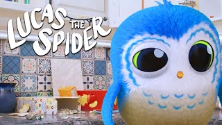 Download lagu Arlo the Owl Makes a BIG MESS for Lucas | Lucas The Spider mp3 Download lagu Arlo the Owl Makes a BIG MESS for Lucas | Lucas The Spider mp3