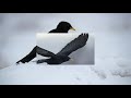Gracchio alpino - (Pyrrhocorax graculus)