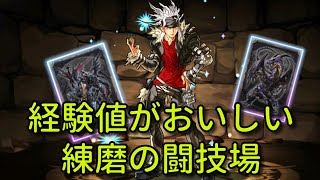 【実況パズドラ】モンスター経験値1.5倍に向けてゼータ　練磨の闘技場