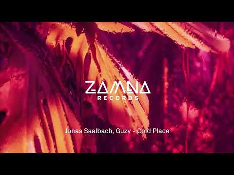 Jonas Saalbach, Guzy - Cold Place