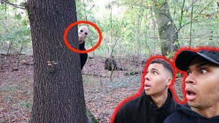 GEHE NIEMALS BEI DUNKELHEIT IN DEN WALD !!! | PrankBrosTV