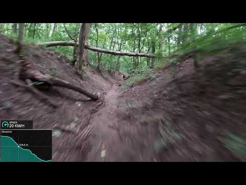 kamaraerdő, 2020.07.26.