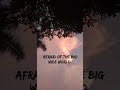 Lily Was A Little Girl WhatsApp Status