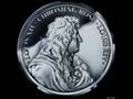 Chroming Rose - Louis XIV 