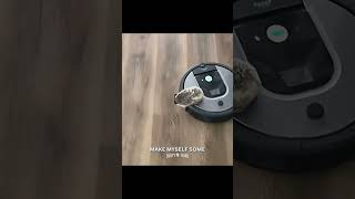 Happy National Hedgehog Day! 🦔🎉