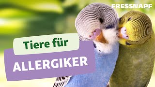 Geeignete Tiere für Allergiker