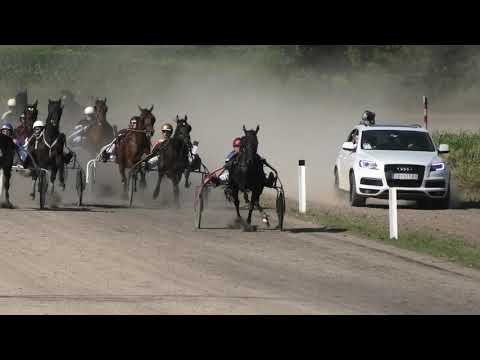 Trka "Konjički klub Vojvođanin" 09.06.2019  Ian Janis A.T. - Branko Skenderović
