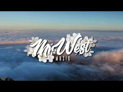 Buck NCS | Por Perro