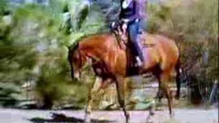 Shades Apart Riding Video