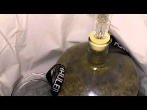 Sunset Pale Ale (fresh Zeus hops and orange zest)