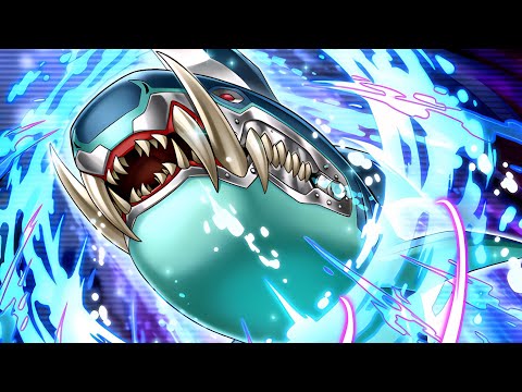 3RD PLACE GU REGIONAL SHARK DECK PROFILE + COMBO Nov 2025 Yu-Gi-Oh!