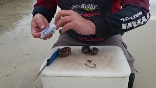 ARMADILLO BAIT