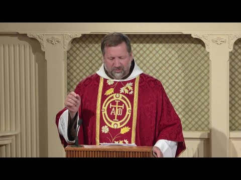 Daily Readings and Homily - 2022-08-09 - Fr. Mark