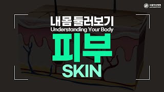 <b>피부</b> 미리보기 썸네일