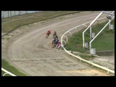 Bockos Doomie Hove 18 7 20