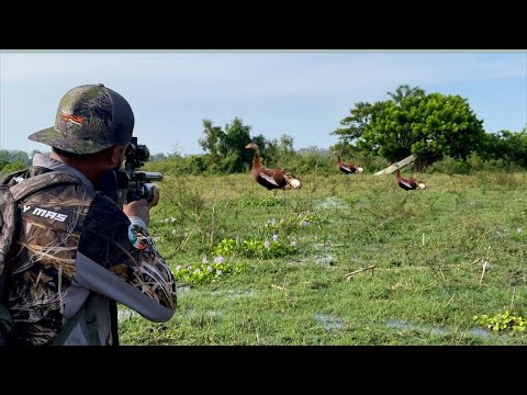 Awesome Rifle, Duck Hunting in Flooded Fields