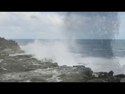 Chris Norman  ( Wish You Well )