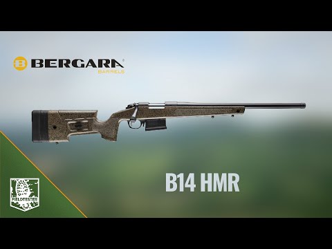Two Moa Groups at 100 Yards