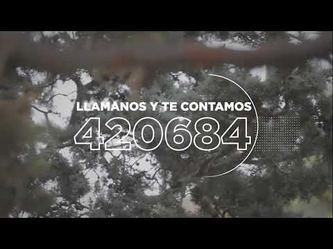 Video: Forestar Río GRande