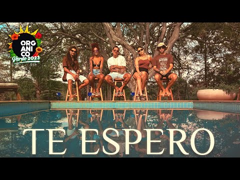 Orgânico Verão 2023 #1 - Te Espero - Tk, Deb Ribeiro, Kadri, Vnegreen e SóCiro [Vídeo Clipe Oficial]